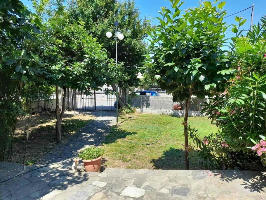 Blue Studio Nea Michaniona Exterior foto